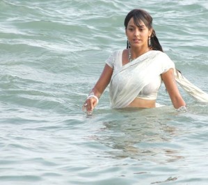 sexy south actress polini mishra