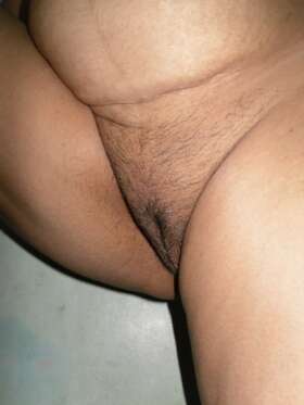 fat trimmed desi pussy